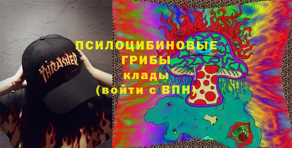 твердый Алексеевка