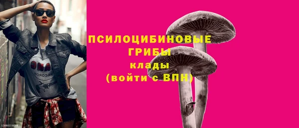 бошки Алексин