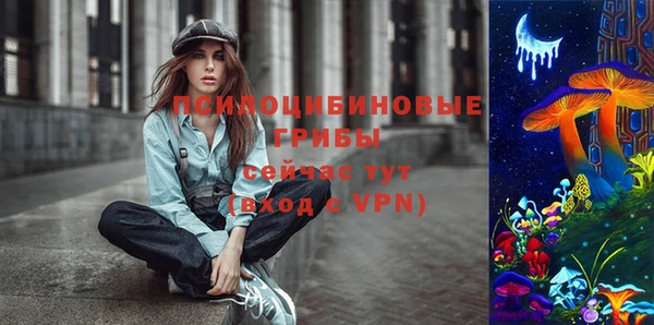 твердый Алексеевка