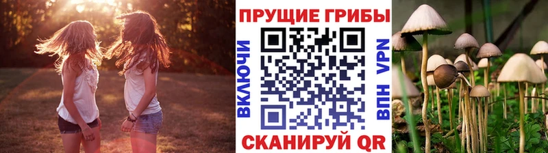 Псилоцибиновые грибы MAGIC MUSHROOMS как найти Чадан