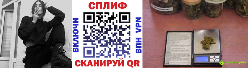 продажа наркотиков  Чадан  Шишки марихуана семена 